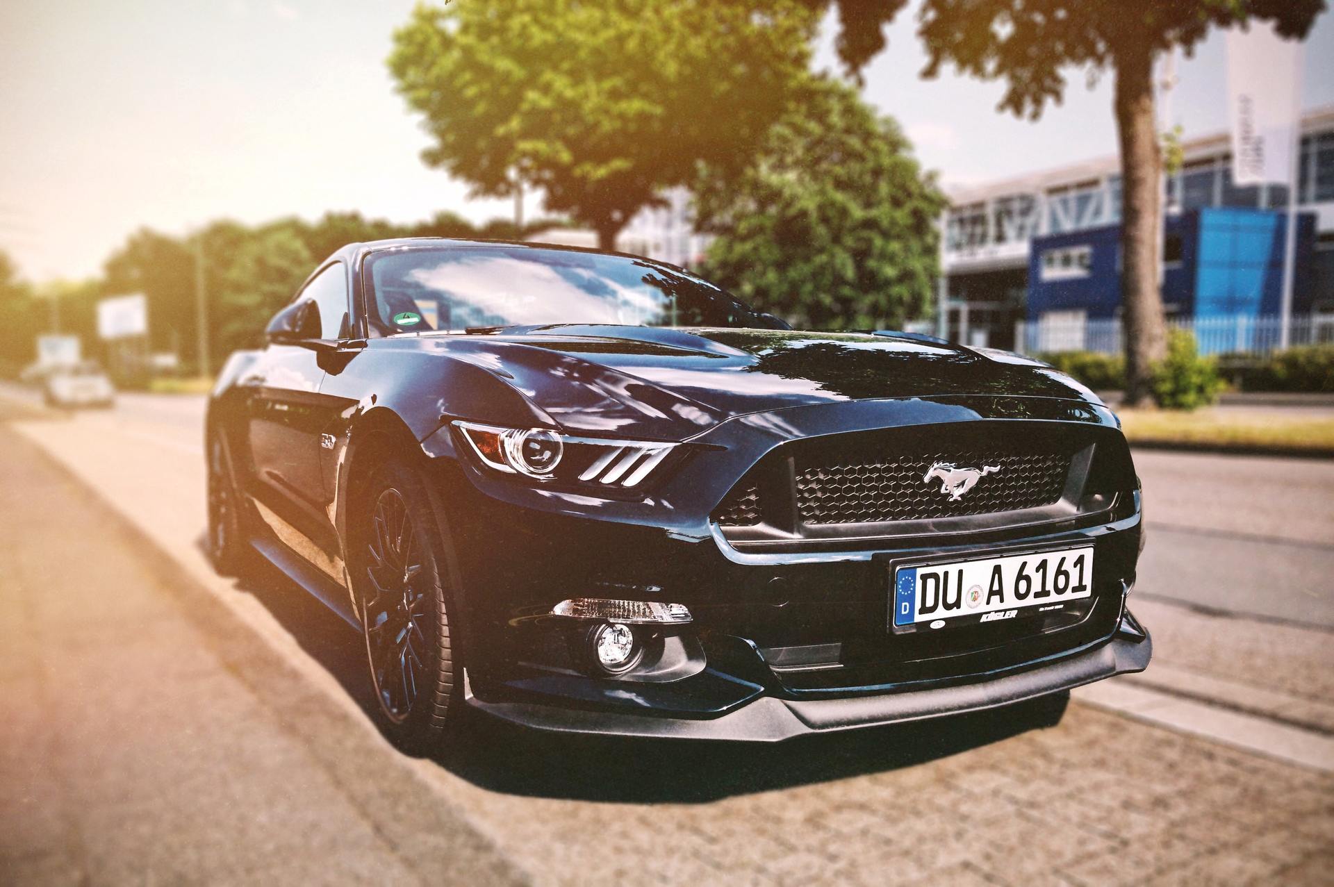 Black Ford Mustang parked on a sunny street, license plate reads 